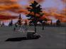 july71038.jpg